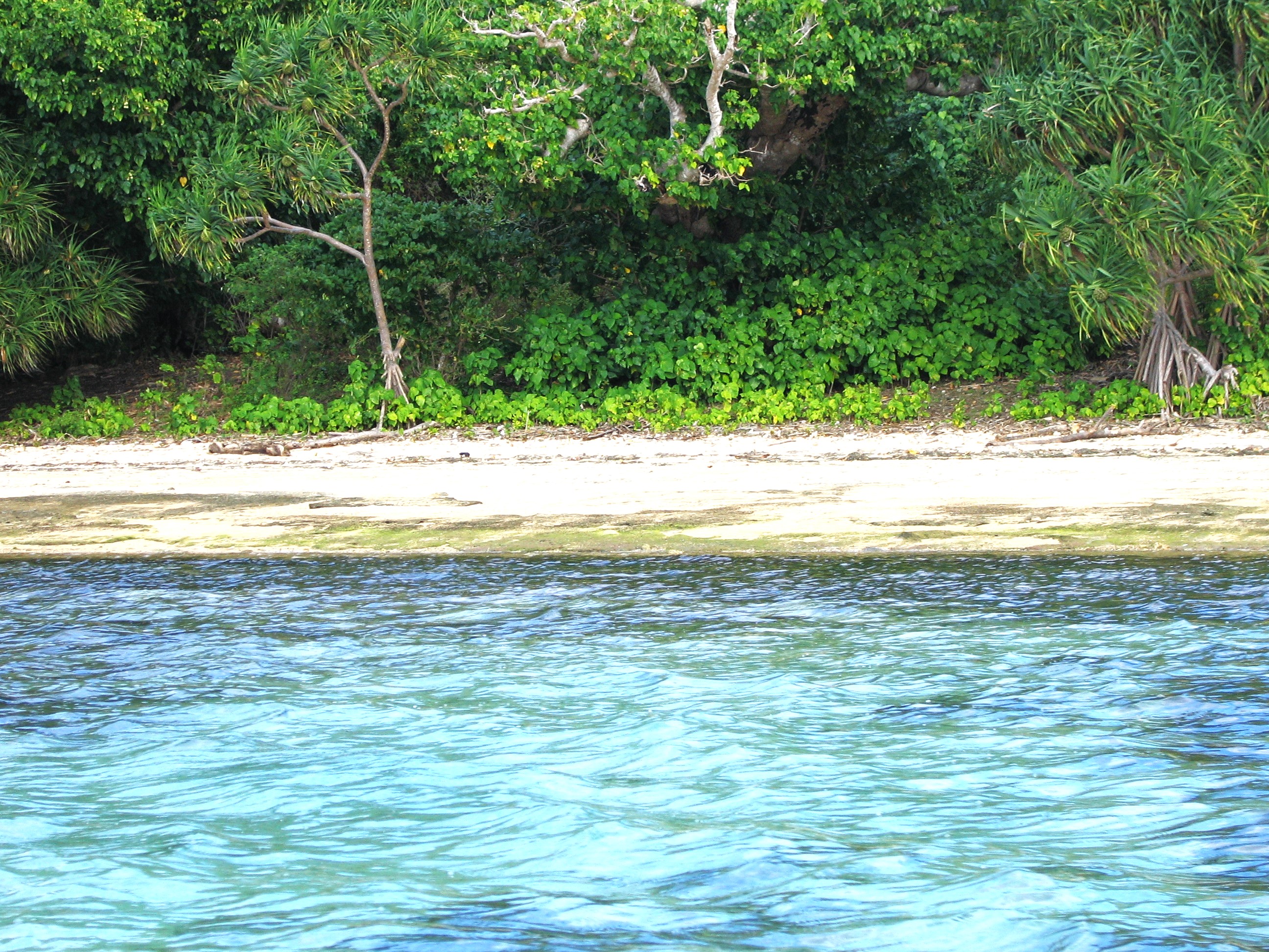 Kapa Island beach, Tonga SouthPacificRealEstate